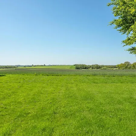 Feriehus Pet Friendly In J Branderup